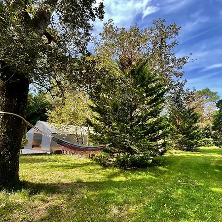 Ferienhaus Au Milieu Des Pins - Domaine Temali Labouheyre